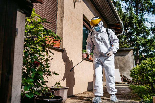 Best Pest Prevention Services  in Port Republic, NJ