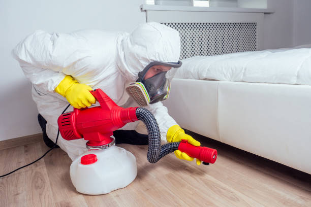 Best Pest Removal Services  in Port Republic, NJ