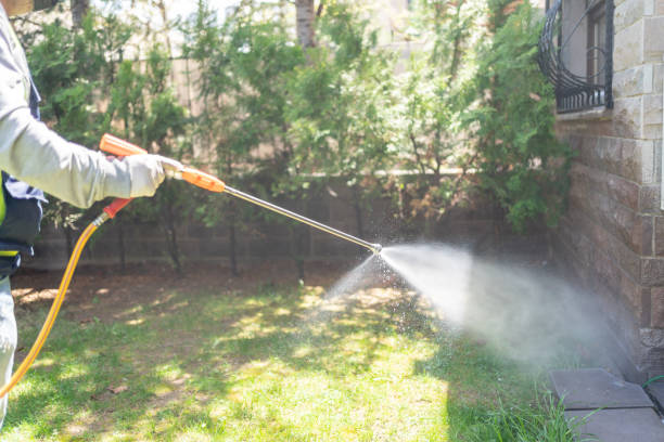 Best Mosquito Control Services  in Port Republic, NJ